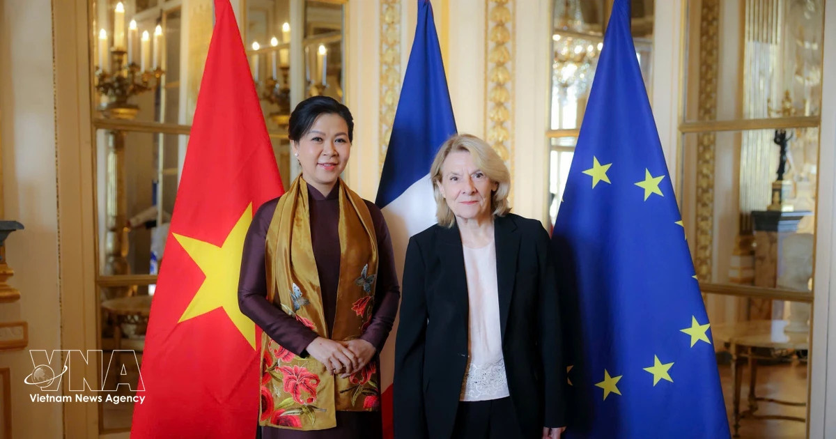 Vietnam, France step up cultural cooperation