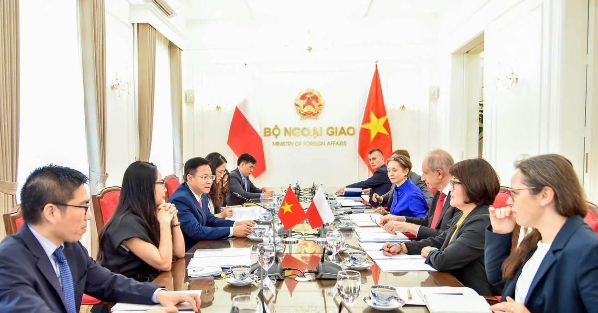 Vietnam, Poland hold deputy foreign minister-level political consultation