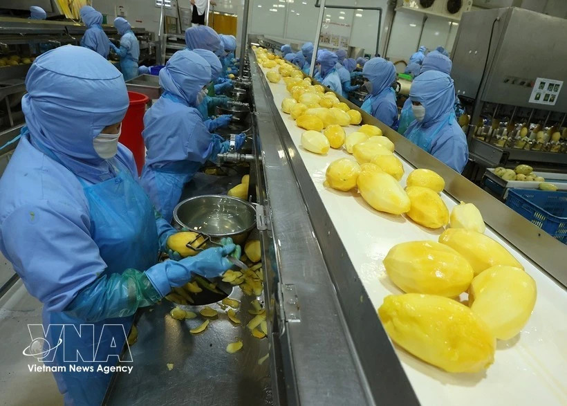 Vietnam's fruit, vegetable exports eye 10 billion USD milestone