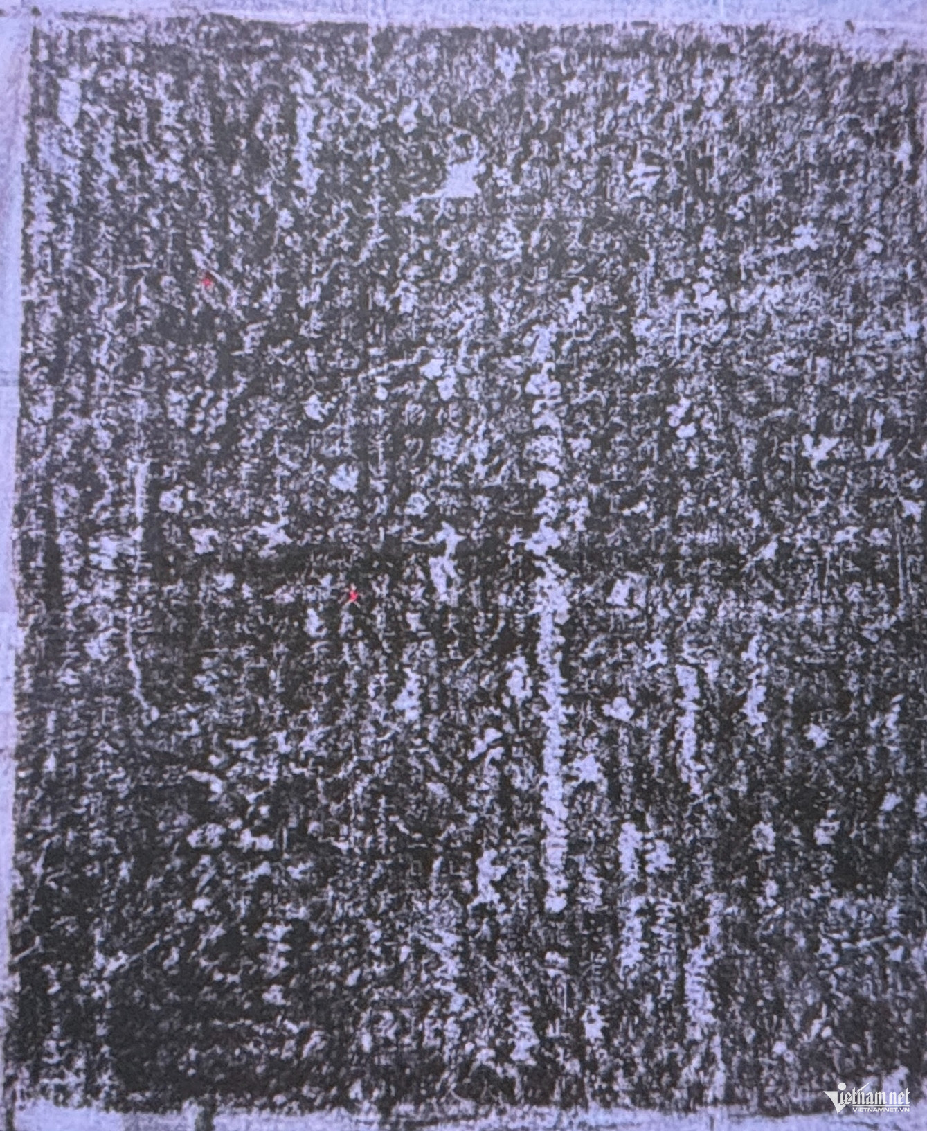 W-Van bia Tien Long son.jpg