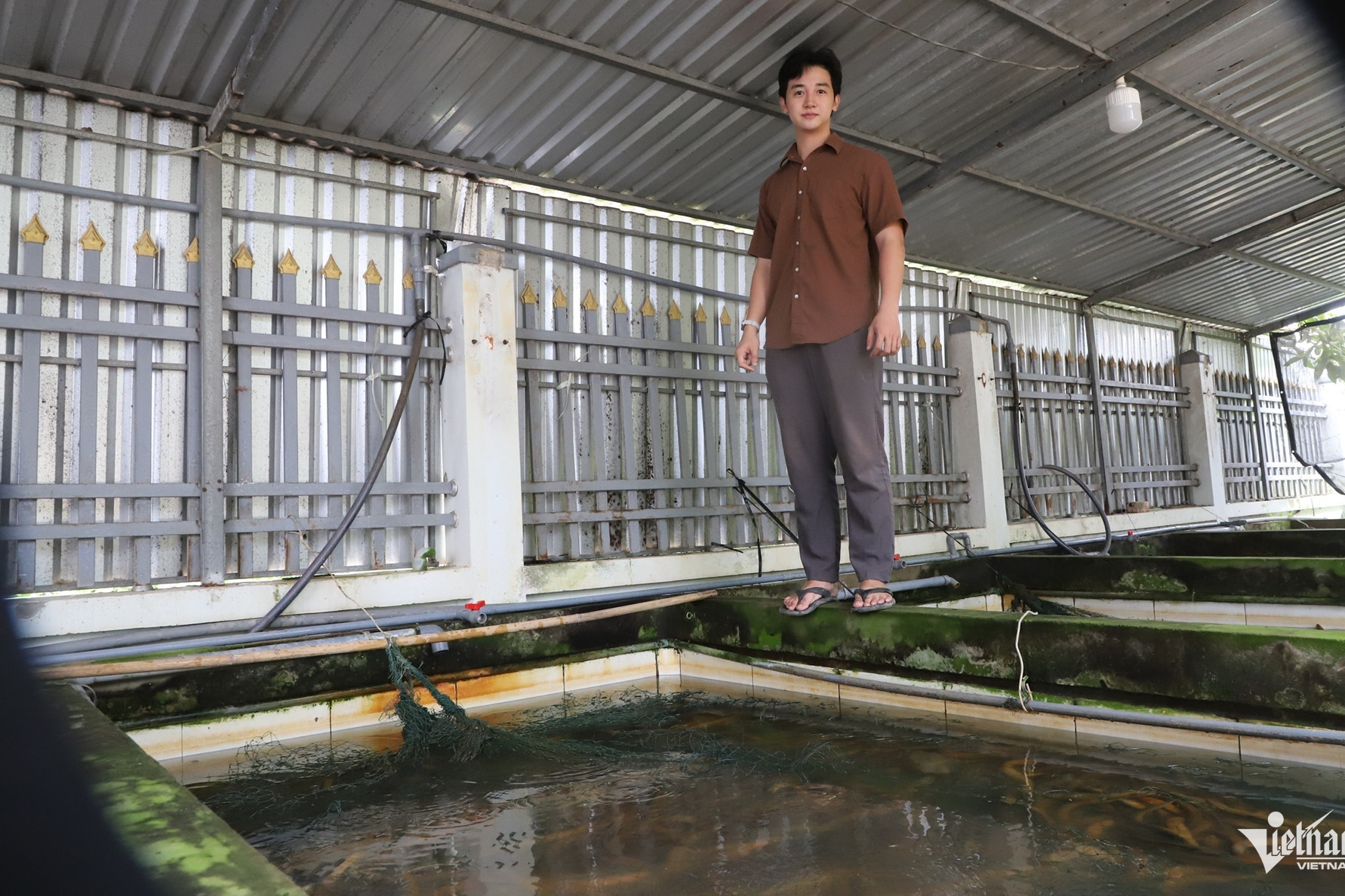 Quitting good job, young man returns home to ‘rescue’family's eel farm