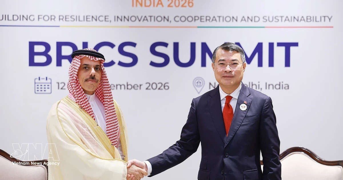 Vietnam seeks effective, substantive ties with Saudi Arabia