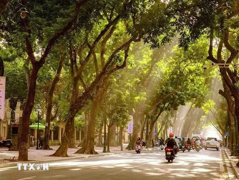 Hanoi Autumn Festival 2026 to highlight capital’s seasonal charm