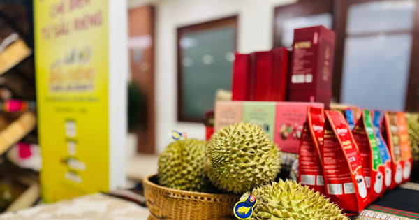 Vietnam’s durian industry shifts from volume to value