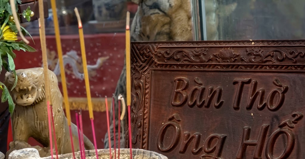 How the tiger became a guardian deity in Vietnamese culture