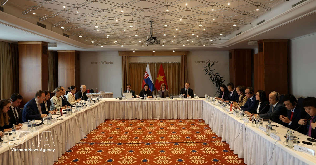 Vietnam-Slovakia economic cooperation committee holds third meeting