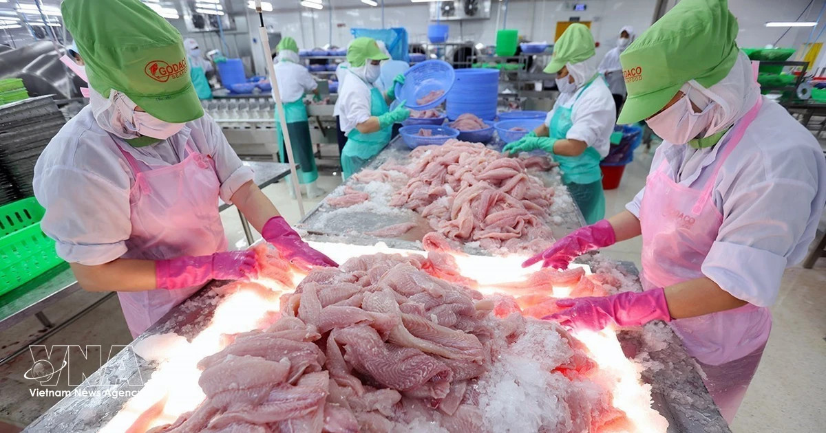 Vietnam’s farm exports overcome headwinds through market diversification