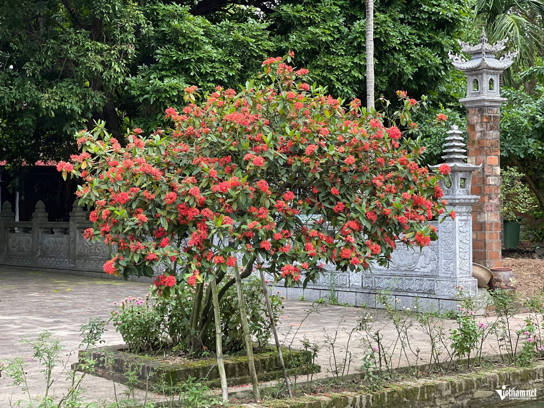 nom pagoda10.jpg