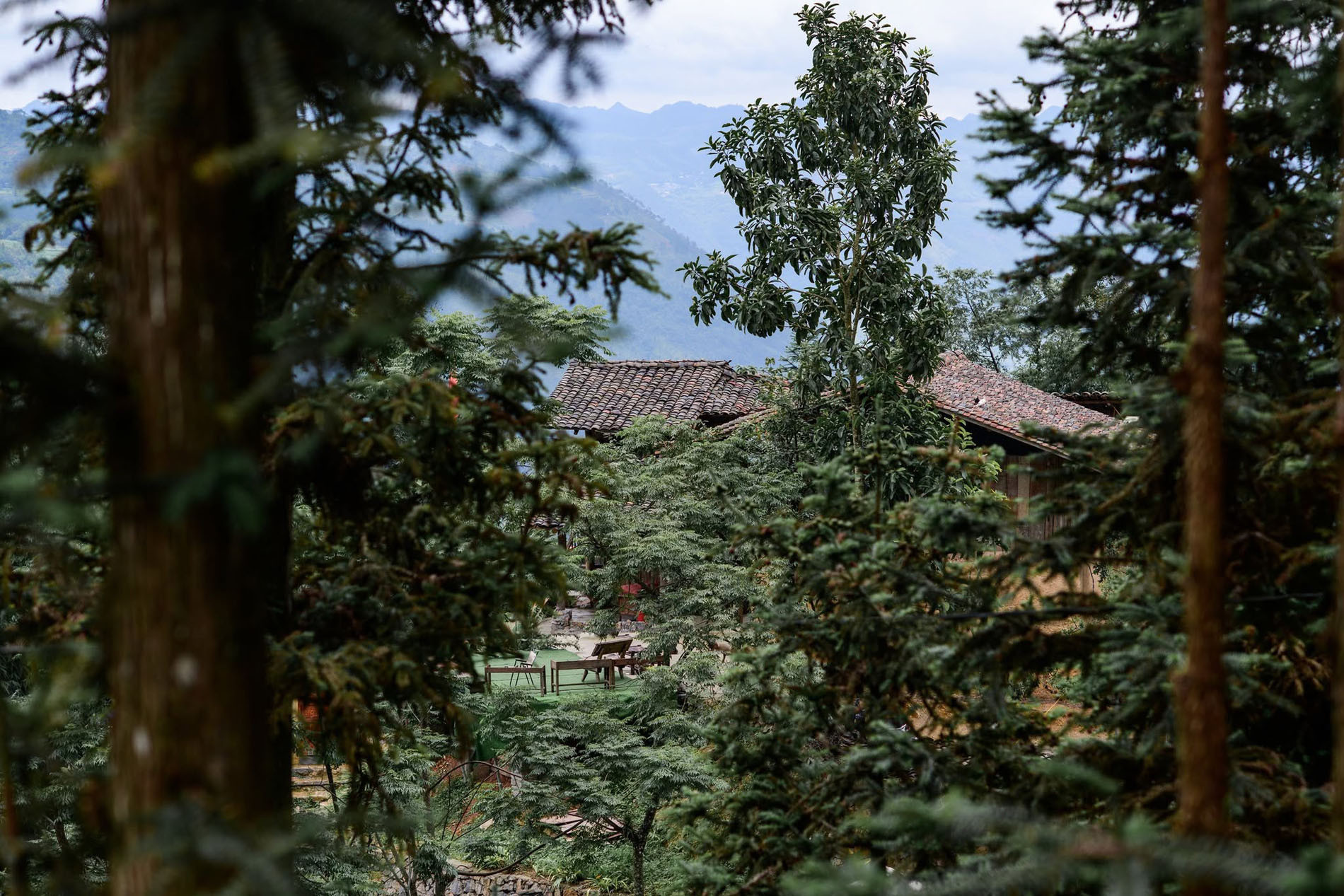 Bac Ninh man turns old mountain house into cozy homestay