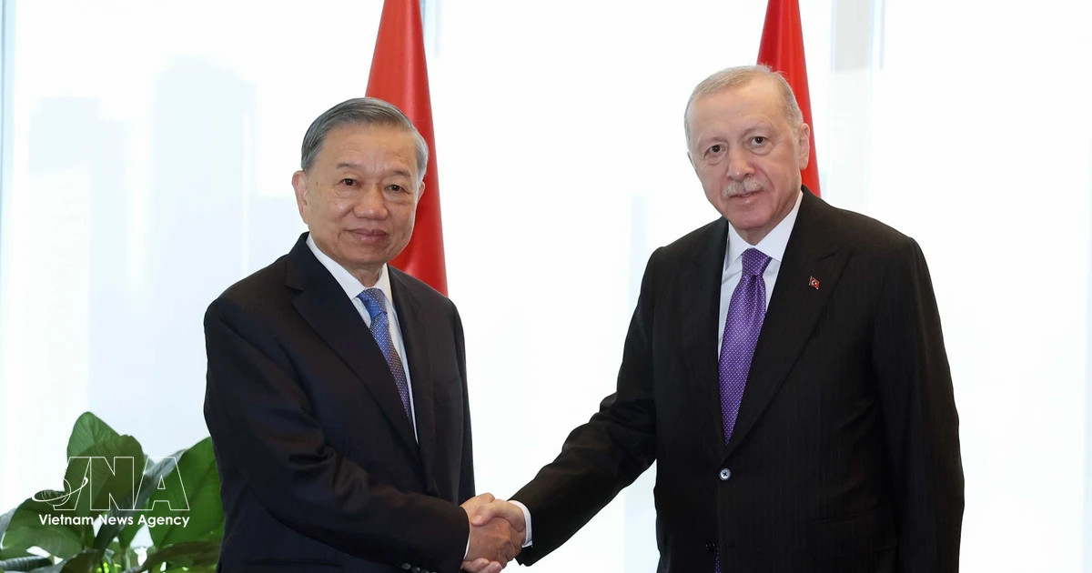 Top leader meets with Turkish President on UNGA 81 sidelines