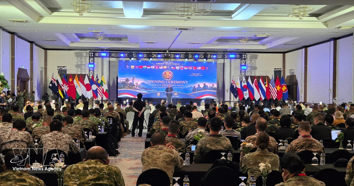 Vietnam joins ADMM+ multinational exercise in Indonesia