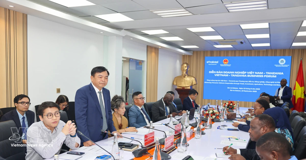Vietnam-Tanzania Business Forum advances practical cooperation