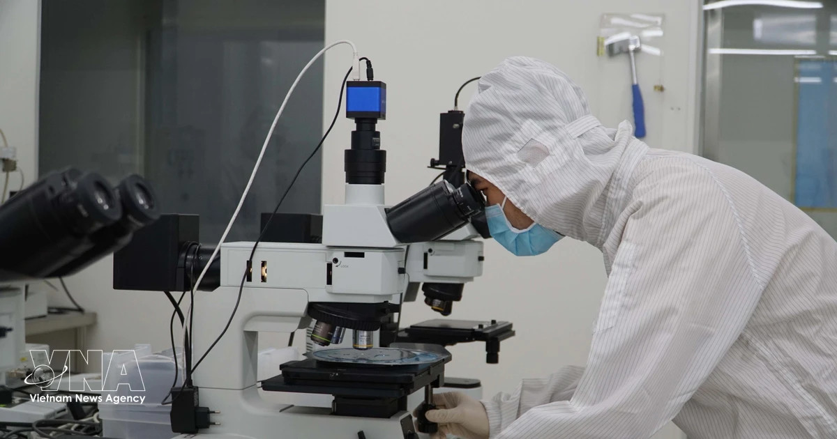 Ho Chi Minh City builds comprehensive ecosystem to attract high-quality personel