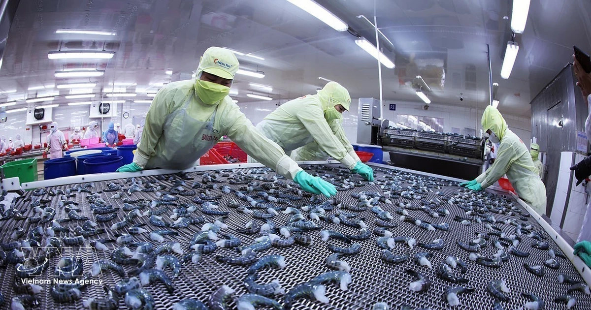 Shrimp exports reach 3.3 billion USD in eight months