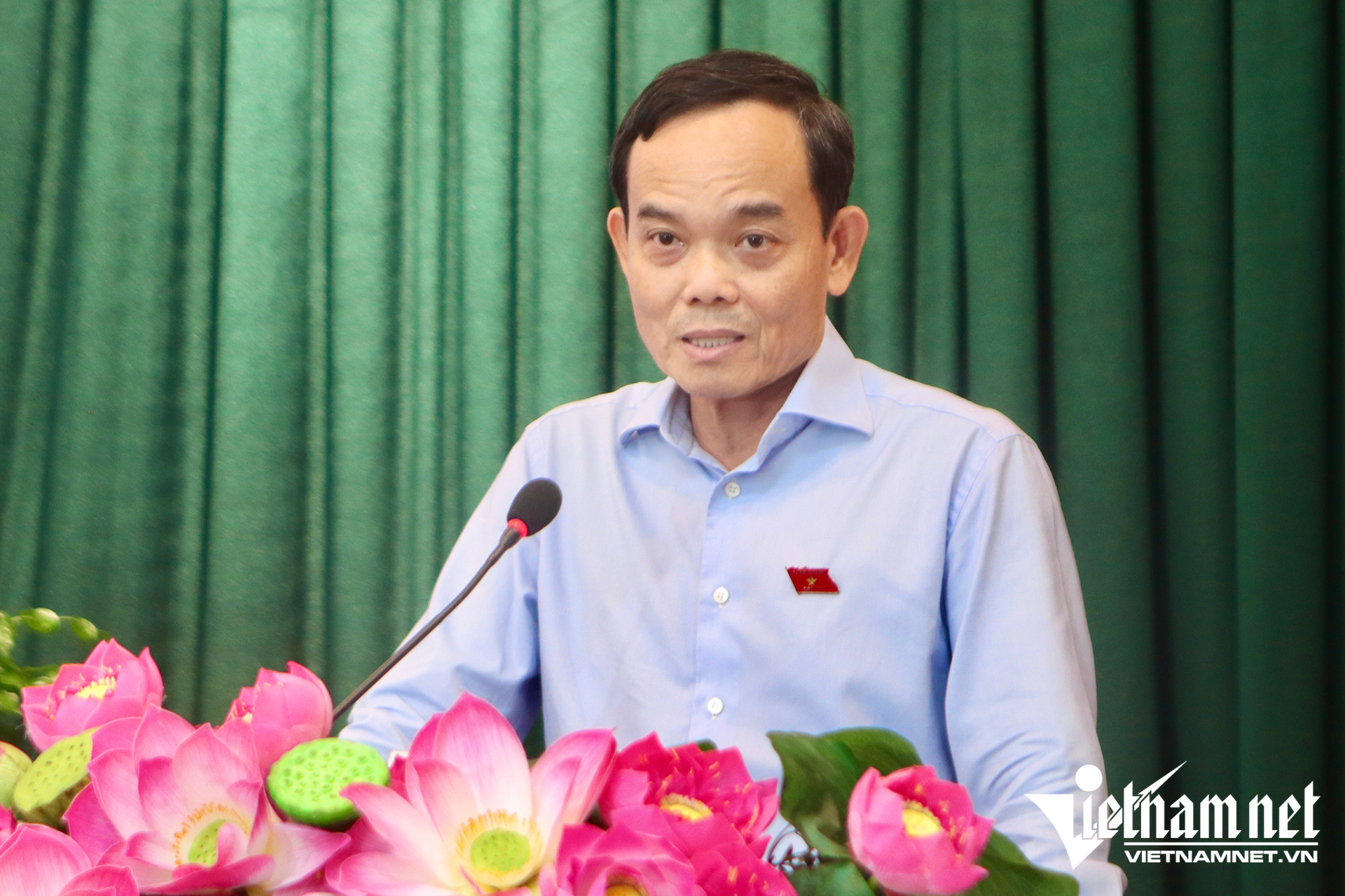 tran luu quang.png