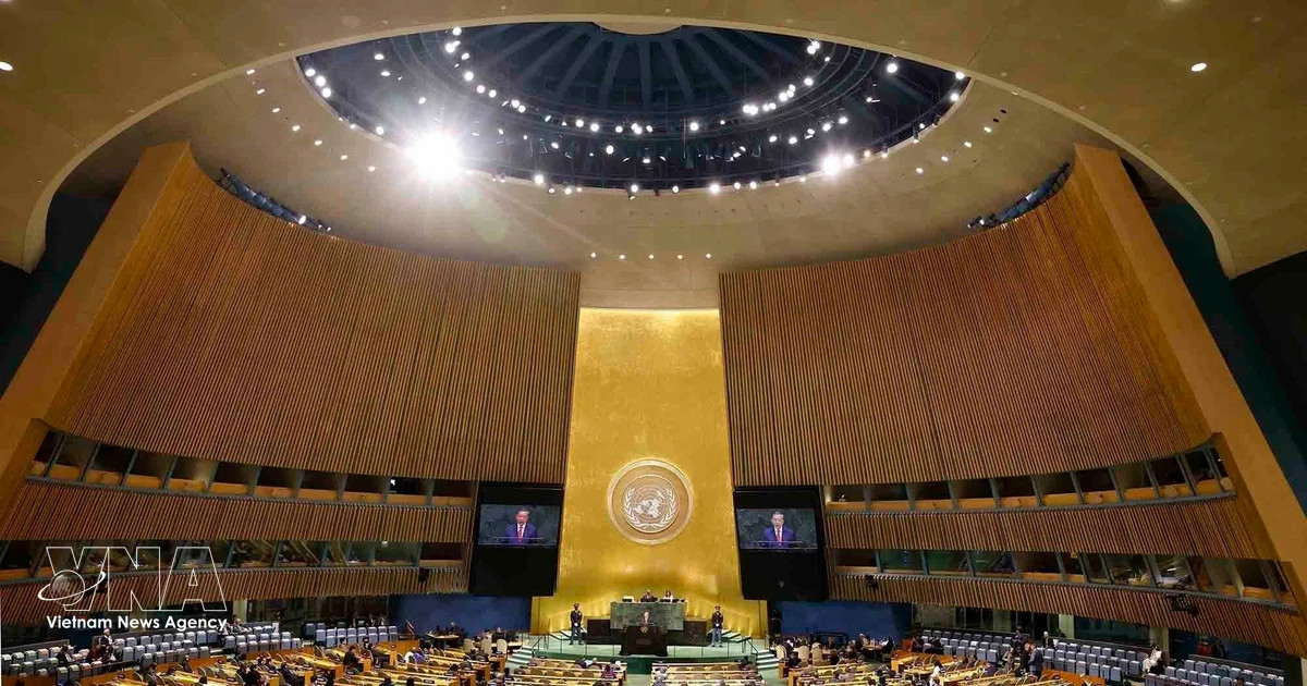 Vietnam affirms proactive, responsible diplomacy at UNGA 81