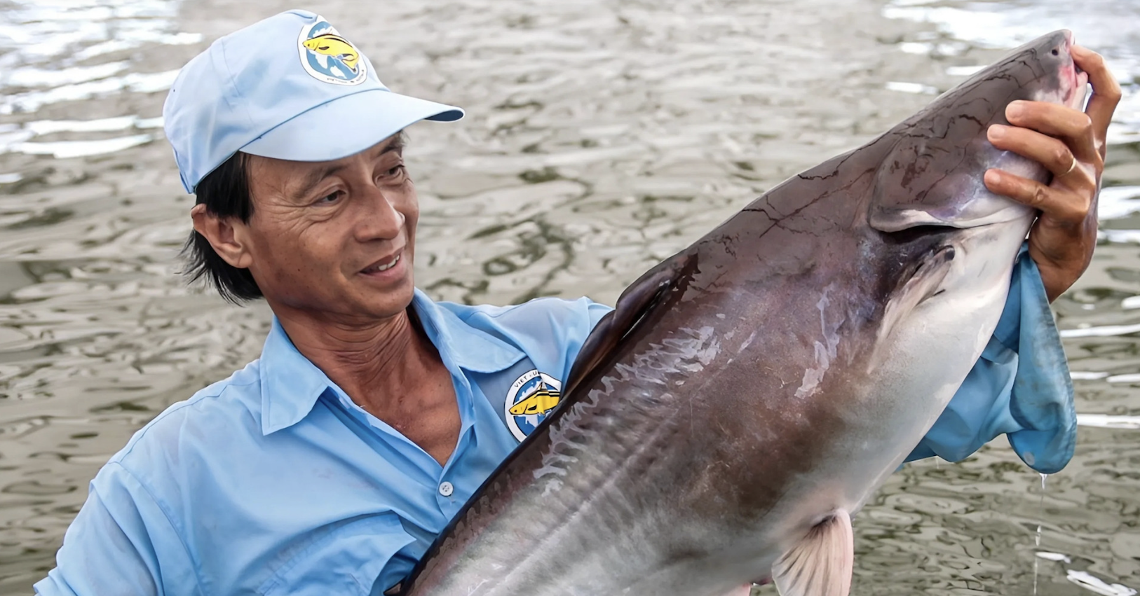 Vietnamese pangasius gains ground in Japan’s seafood market
