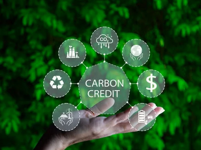 Hanoi sets up inter-agency mechanism to operate carbon market