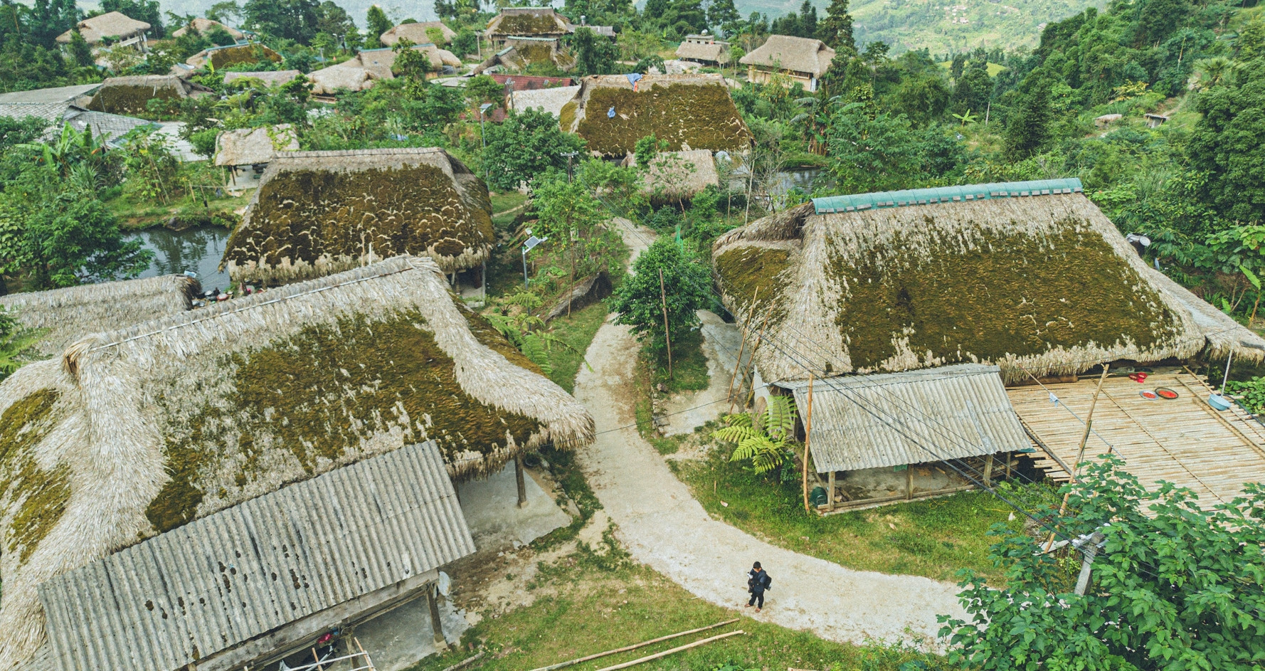 Xa Phin: The Vietnamese village with a canopy of moss-covered roofs