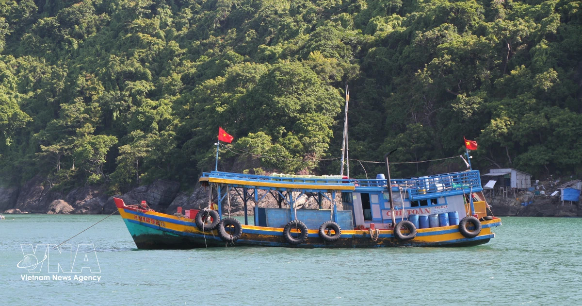 Ho Chi Minh City sets October 30 deadline for fishing boat tracking system
