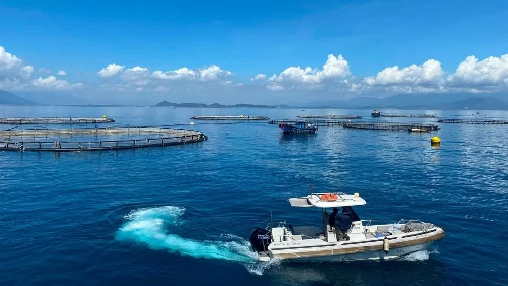 Vietnam unlocks new development space from sea