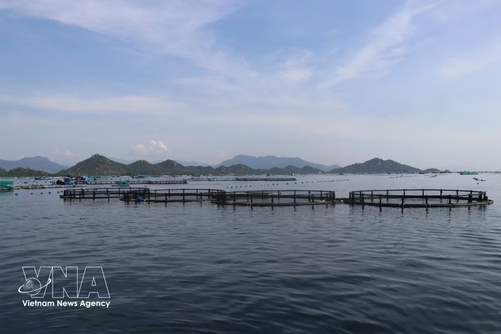 vnanet-khanhhoa.jpg