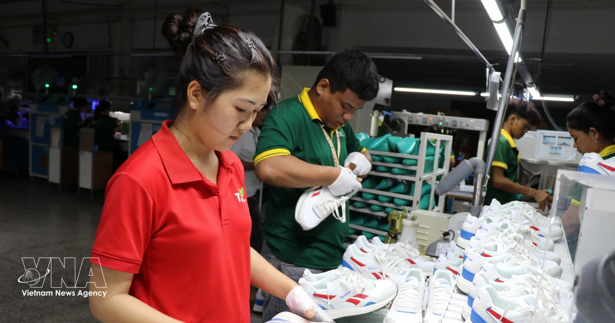 Vietnamese exporters pivot to ease pressure from US tariffs