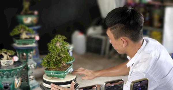 Digital transformation brings economic gains closer to businesses