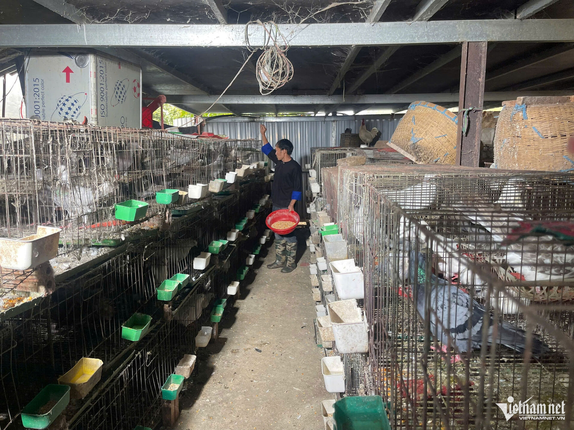 W-1788417585215_1483987426427009843_196526418897129233_9dd6ac7bff13a8296e272d8785c5a108.jpg